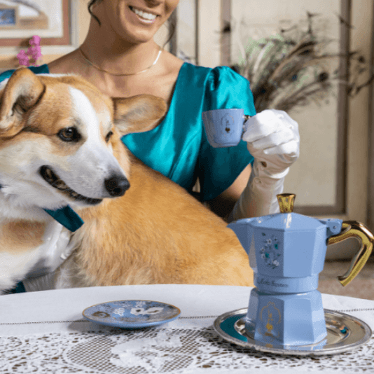 Cafeteira Moka Express Bridgerton 6 Xicaras - Bialetti