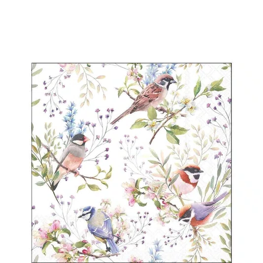Guardanapo 25x25 Busy Birds - Ambiente