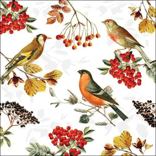 Guardanapo 33 Autumn Birds Fsc Mix