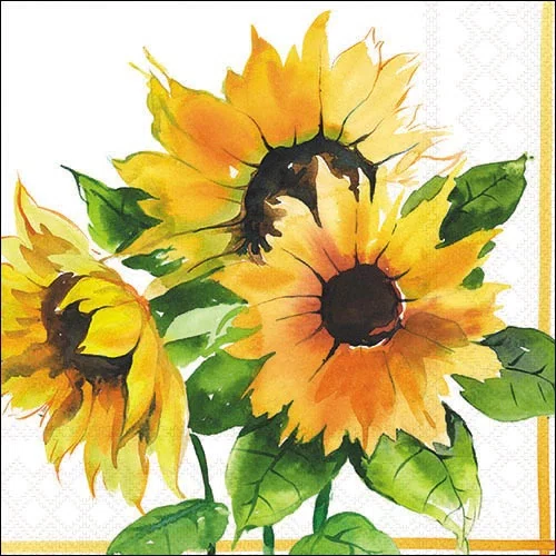 Guardanapo Girasol 20 Folhas