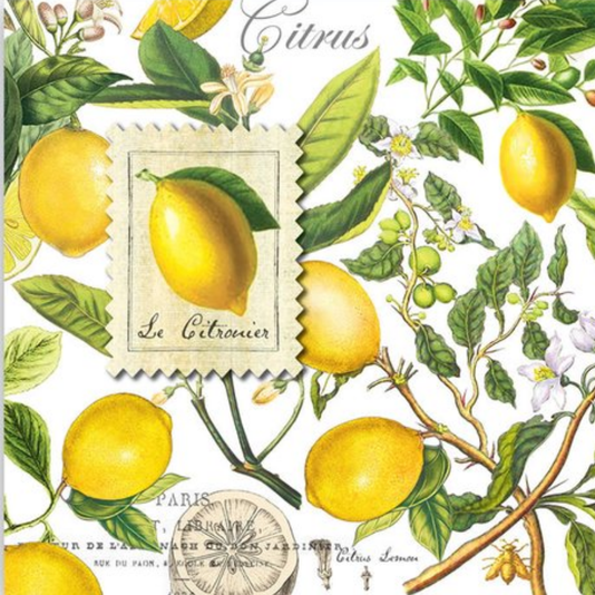 Guardanapo Lanche Lemons Michel Design Works