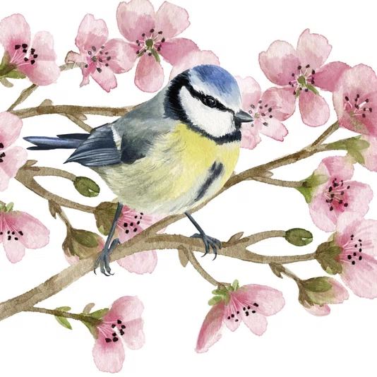 Guardanapo Oiseau Printemps 33x33 20 Folhas