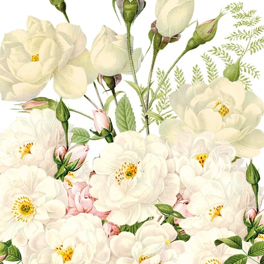 Guardanapo Roses Blancs 33x33