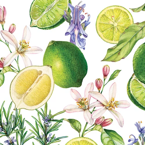 Kit Sabonete Líquido e Creme de Mãos Rosemary Margarita - Michel Design