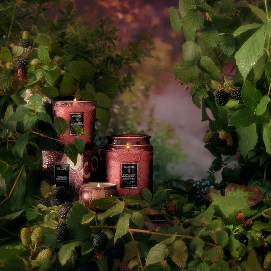 Vela Copo Vidro Classico 60h Foraged Wildberry - Voluspa