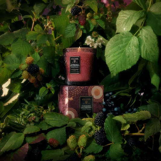 Vela Copo Vidro Classico 60h Foraged Wildberry - Voluspa