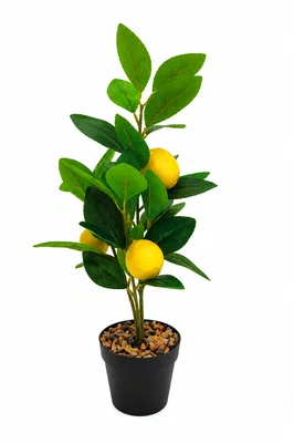 Arranjo Art Árvore Limão Tangerina 40cm - Tuut