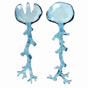 Cj. Pegador de Salada em Acrílico Coral Azul 32x13 - Entrecasa