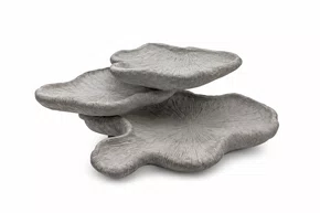 Escultura Coral Resina 28x18,5x9,4cm
