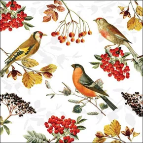 Guardanapo 33 Autumn Birds Fsc Mix