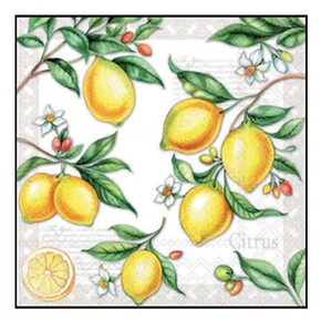 Guardanapo de Papel Citrus 33 X 33cm - Ambiente