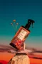 Água Perfumada Terra do Sol e Água de Coco 500ml - Lenvie