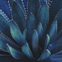 Caneca Agave 350 Ml Le Creuset.