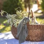 Cesta Oval Liam Natural