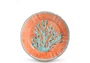 Conjunto 6 Pratos Raso Coral Mate Corali - Scalla