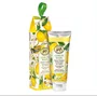 Creme para Mãos 75ml Lemon Basil - Michel Design