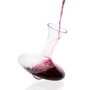 Decanter com Secador/suporte Noé 1L - Riva