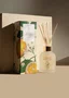 Difusor de Perfume Citrus Verbena Arabesc 200ml - Lenvie
