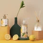 Difusor de Perfume Citrus Verbena Arabesc 200ml - Lenvie