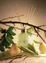 Difusor de Perfume Summer Pear Pat BOO 200ml - Lenvie Difusor de Perfume Summer Pear Pat BOO 200ml - Lenvie