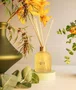 Difusor de Perfume Vanilla Bloom Patbo 200ml - Lenvie