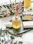 Difusor de Perfume Vanilla Bloom Patbo 200ml - Lenvie