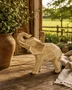Escultura Elefante Geometrico Medio em Po