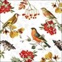 Guardanapo 33 Autumn Birds Fsc Mix