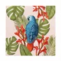 Guardanapo Birdr 33x33 20 Folhas - Cromus