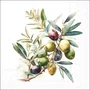 Guardanapo de Papel Olive Branch Fsc Mix - Ambiente