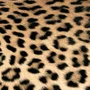 Guardanapo Leopard Couture 33x33