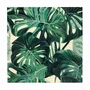 Guardanapo Mostera 33x33 20 Folhas - Cromus