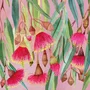 Guardanapo Papel 33x33 Australia