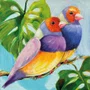 Guardanapo Papel 33x33 Conversation Tropicale