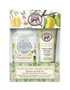 Kit Sabonete Líquido e Creme de Mãos Rosemary Margarita - Michel Design