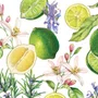 Kit Sabonete Líquido e Creme de Mãos Rosemary Margarita - Michel Design
