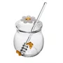 Meleira com Pegador Sun Garden 270ml Borossilicato