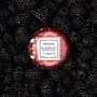 Mini Vela Macaron 15h Rose Blackberry Rose Oud - Voluspa