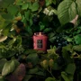Mini Vela Pote Vidro 50h Relevo Foraged Wildberry - Voluspa