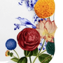 Prato de Jantar - Royal - Pip Studio