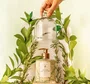 Sabonete Liquido Alecrim Mediterraneo 350ml - Lenvie