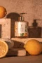 Sabonete Líquido Citrus Verbena Arabesc 350ml - Lenvie