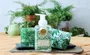 Sabonete Líquido Green House 530ml - Michel Design