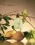 Sabonete Liquido Summer Pear Patbo 200ml - Lenvie