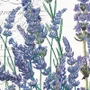 Vela Copo Medio 2 Pavios Lavender Rosemary - Michel Design