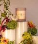 Vela Perfumada Lotus Garden Lenvie Patbo 210g - Lenvie