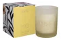 Vela Perfumada Vanilla Bloom Patbo 210g - Lenvie